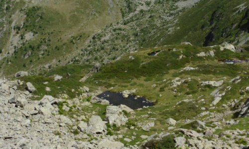 P1000416